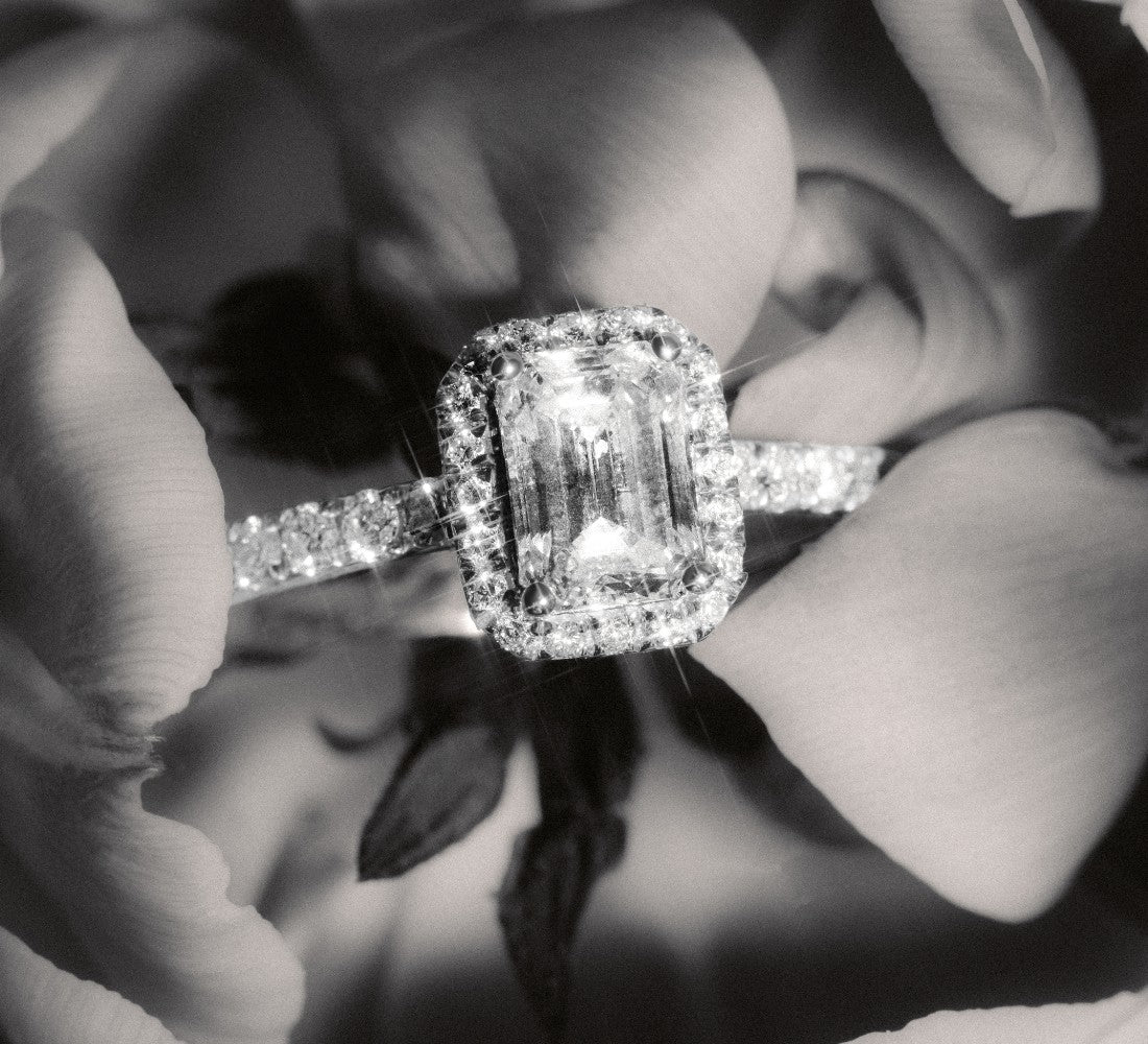 Halo Ring DS2068G wird umgeben von Blumenblättern und in schwarz-weiß präsentiert.