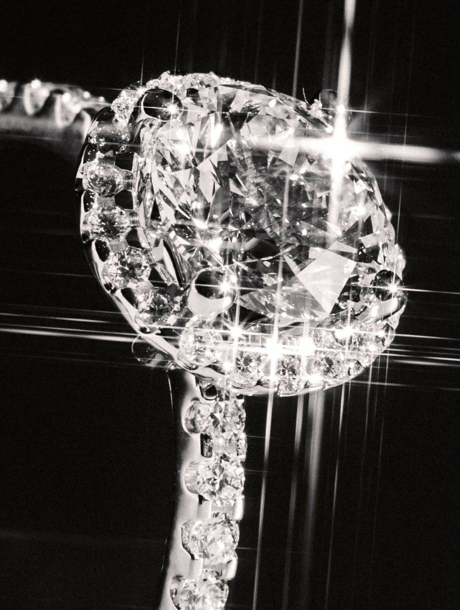 Nahaufnahme Ring DS2066