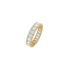 1DS2076V?DS2076G.png|Gelbgold