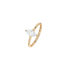 1DS2084V?DS2084G.png|Gelbgold