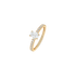 1DS2087V?DS2087G.png|Gelbgold
