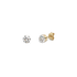 1DS3102V?DS3102G.png|Gelbgold