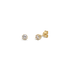 1DS3110G?DS3110G.png|Gelbgold