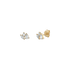 1DS3114G?DS3114G.png|Gelbgold