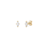 1DS3129G?DS3129G.png|Gelbgold
