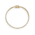 1DS3400V?DS3400G.png|Gelbgold